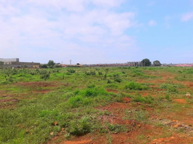 Terrain à Sonfonia, Terrains, Conakry