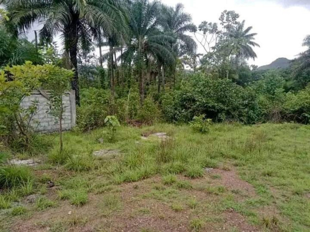 Vente, Autre pour la Construction, Conakry