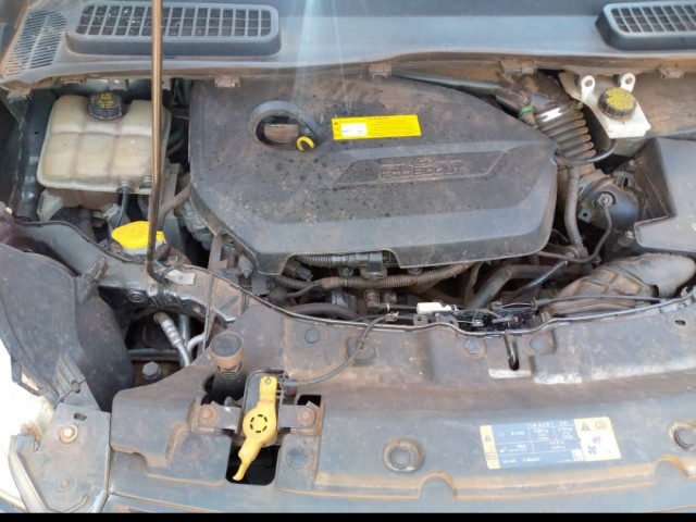 Ford Escape, Voitures, Conakry