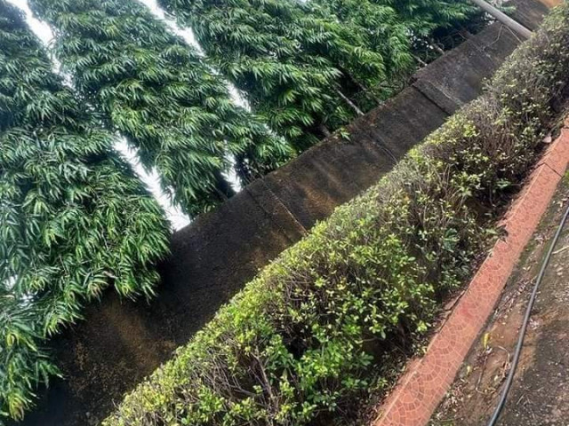 Maison à Lambanyi, Maisons, Conakry