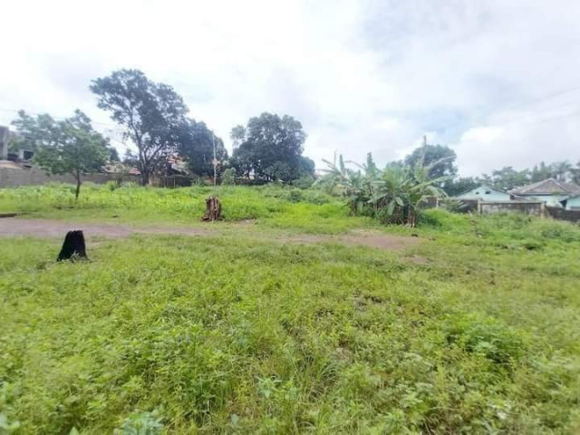 Terrain à Sonfonia, Terrains, Conakry