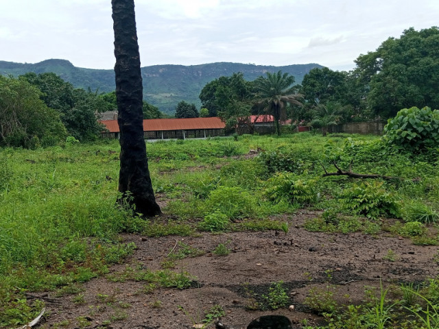 Terrain à Somayah, Terrains, Coyah