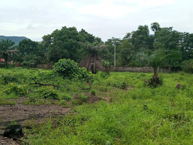 Terrain à Somayah, Terrains, Coyah