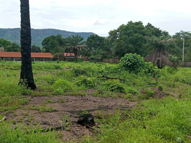 Terrain à Somayah, Terrains, Coyah