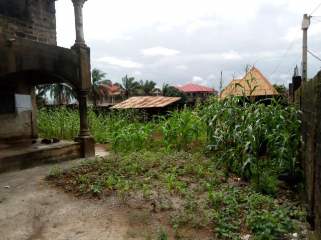 Bâtiment à Samatra, Maisons, Conakry