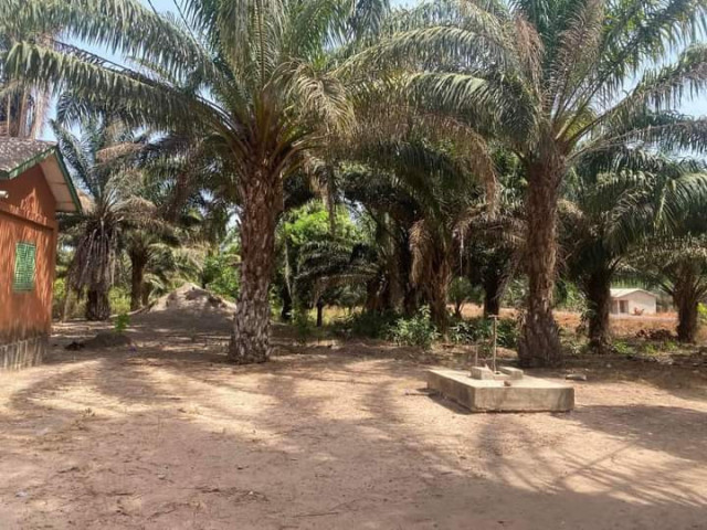 Terrain à Kindia, Terrains, Conakry