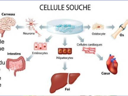 Produit FCCi+, Autre pour Santé - Beauté, Conakry