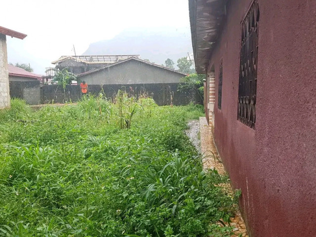 Maison à Coyah, Maisons, Coyah