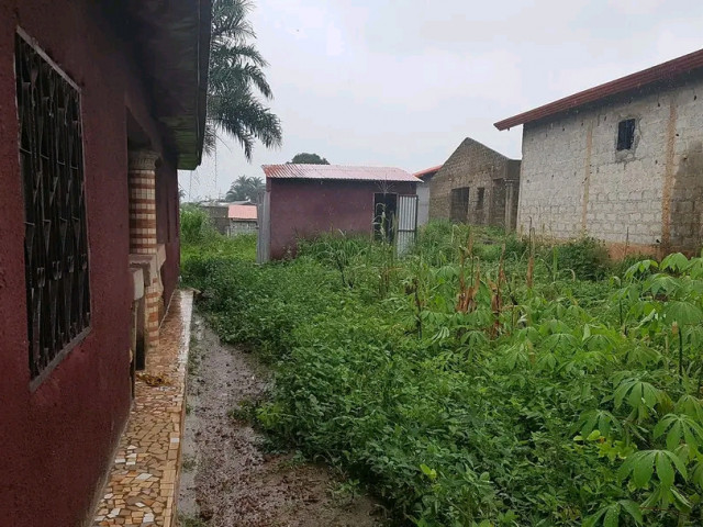 Maison à Coyah, Maisons, Coyah