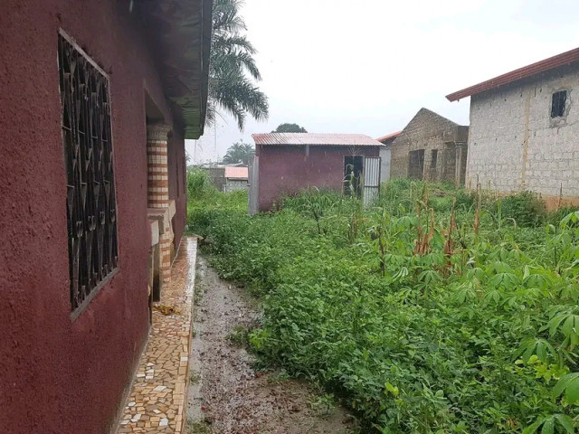 Maison à Coyah, Maisons, Coyah