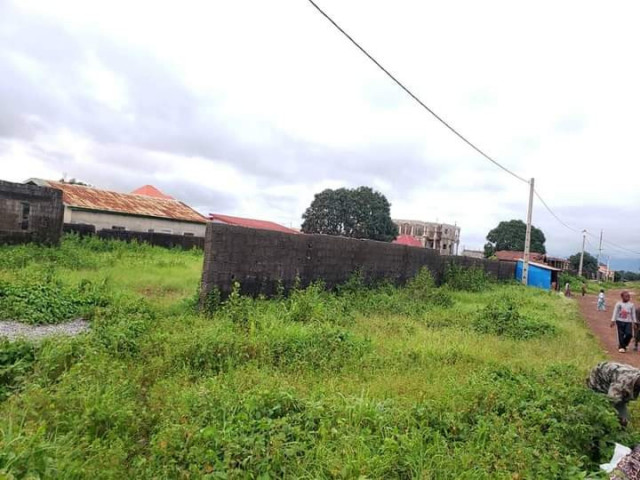 Terrain à Ansoumania, Terrains, Conakry