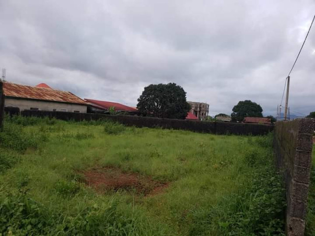 Terrain à Ansoumania, Terrains, Conakry