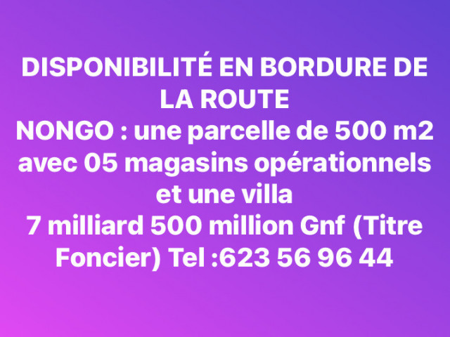 Magazin à Nongo, Locaux Commerciaux, Conakry