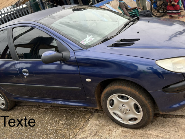 Peugeot 206, Voitures, Conakry
