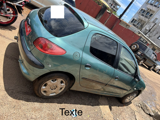 Peugeot 206, Voitures, Conakry