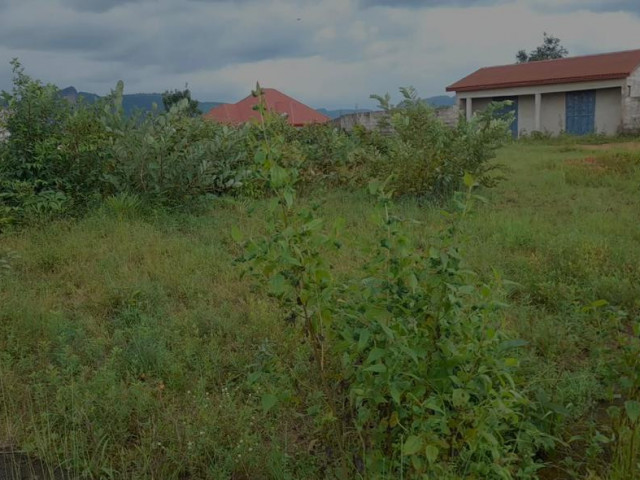Terrain à Coyah, Terrains, Conakry