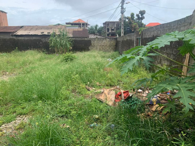 Terrain à Lambanyi, Terrains, Conakry