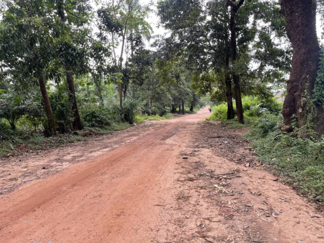 Terrain à Mambia, Terrains, Coyah