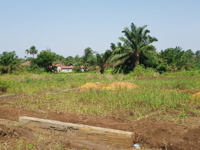 Terrain à Kendoumaya, Terrains, Coyah