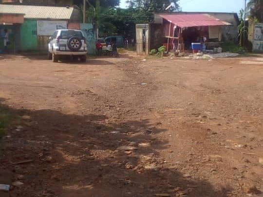 Terrain à Nongo, Terrains, Conakry