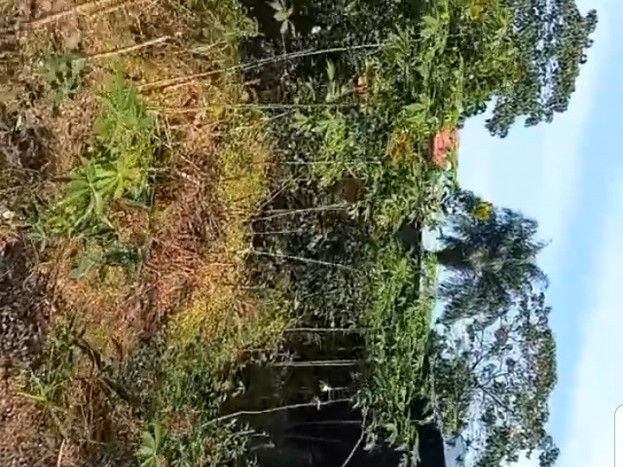 Maison à Kansonyah, Maisons, Conakry