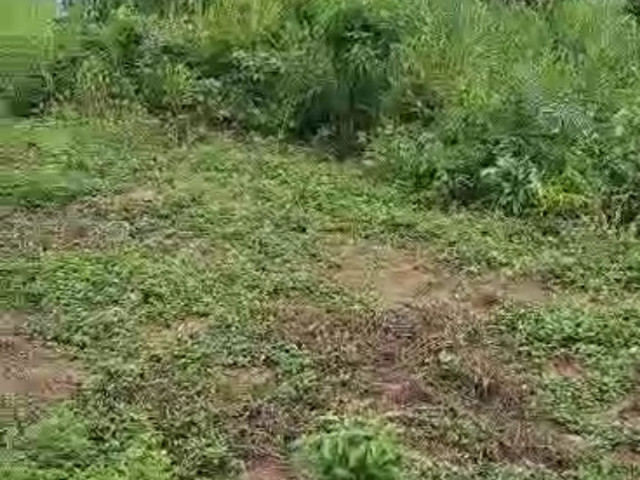 Terrain à Kakoulimayah, Terrains, Conakry