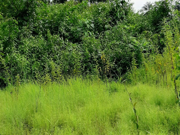 Terrain à Coyah, Terrains, Conakry