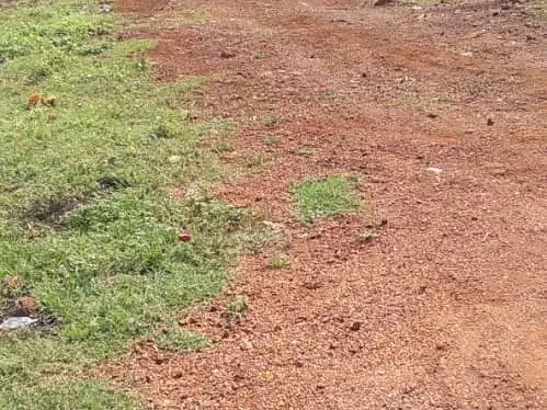 Terrain à Lansanayah, Terrains, Conakry