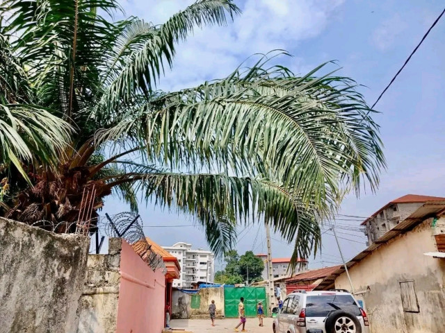 Terrain à Minière, Terrains, Conakry