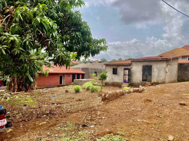 Terrain à Cimenterie, Terrains, Conakry