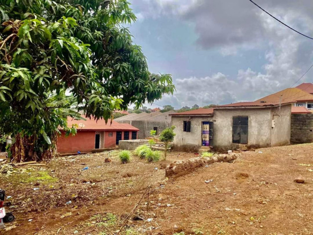 Terrain à Cimenterie, Terrains, Conakry