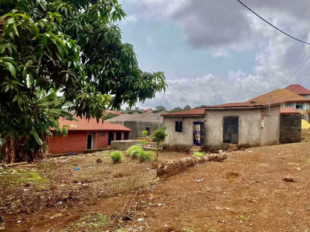 Terrain à Cimenterie, Terrains, Conakry