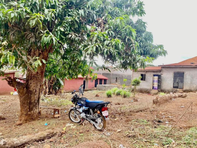 Terrain à Cimenterie, Terrains, Conakry