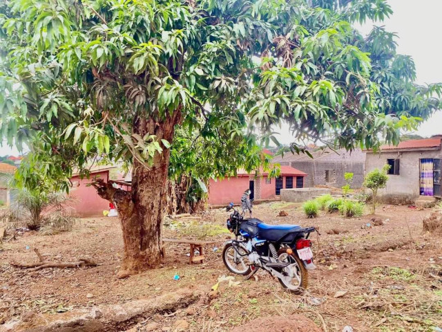 Terrain à Cimenterie, Terrains, Conakry