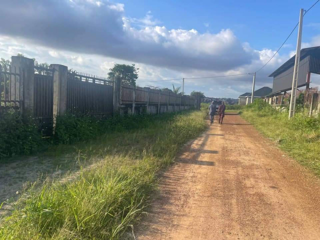 Terrain ร Tombolia, Terrains, Conakry