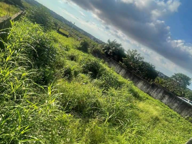 Terrain ร Tombolia, Terrains, Conakry