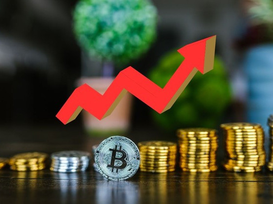 Investir dans les Cryptomonnaies, Cours - Formations, Conakry