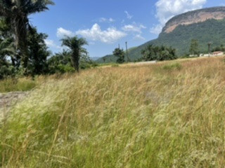 Terrain à Tambaya, Terrains, Coyah