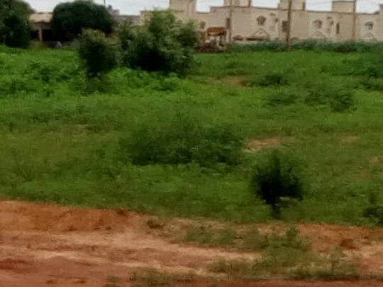 Terrain à Kouria, Terrains, Conakry