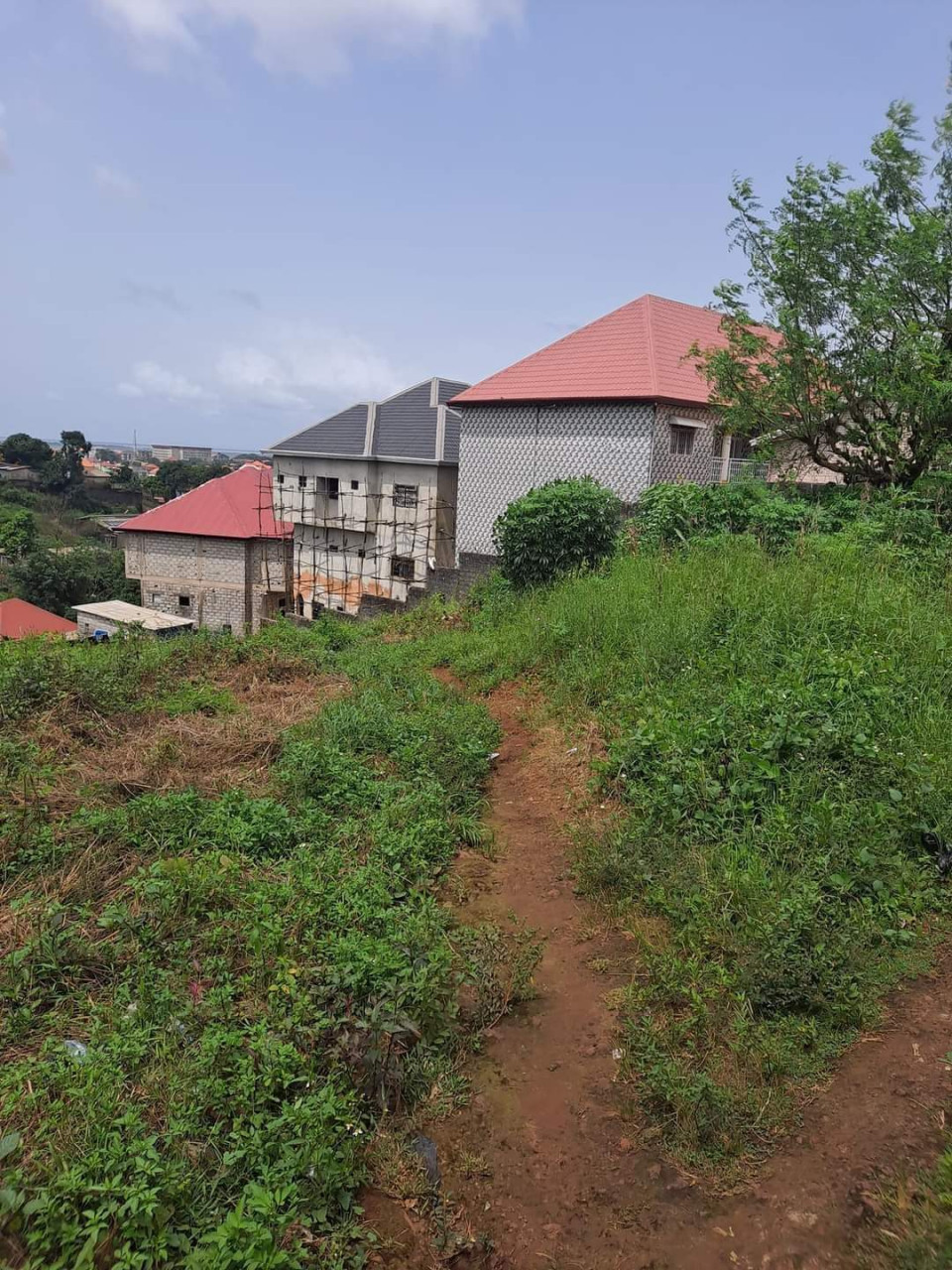 Quatre parcelles à vendre à yattaya sos, Terrains, Conakry