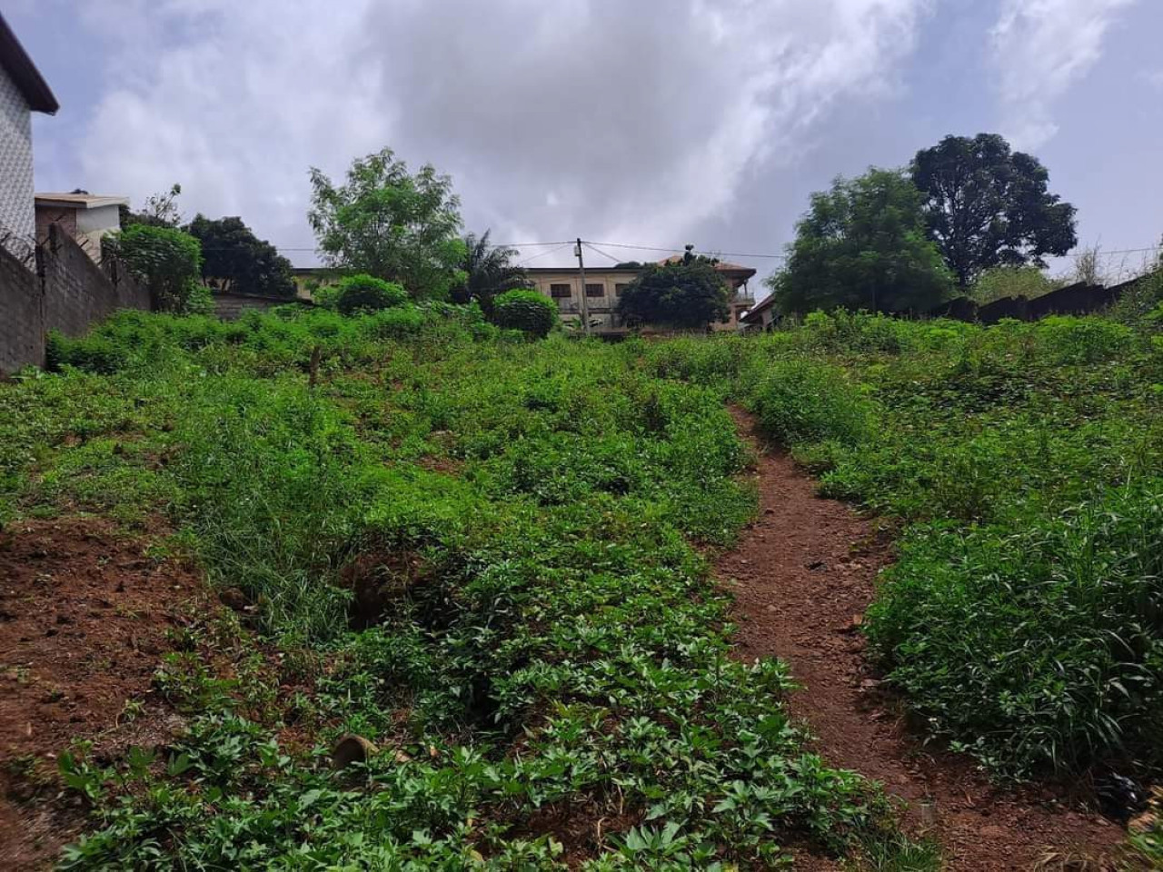 Quatre parcelles à vendre à yattaya sos, Terrains, Conakry