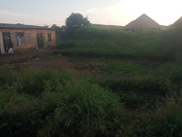 TERRAIN, Terrains, Conakry