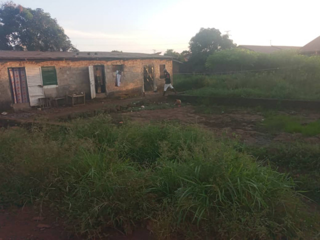 TERRAIN, Terrains, Conakry