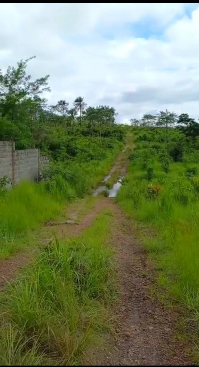 DJOUMAYA DUBREKA, Terrains, Conakry