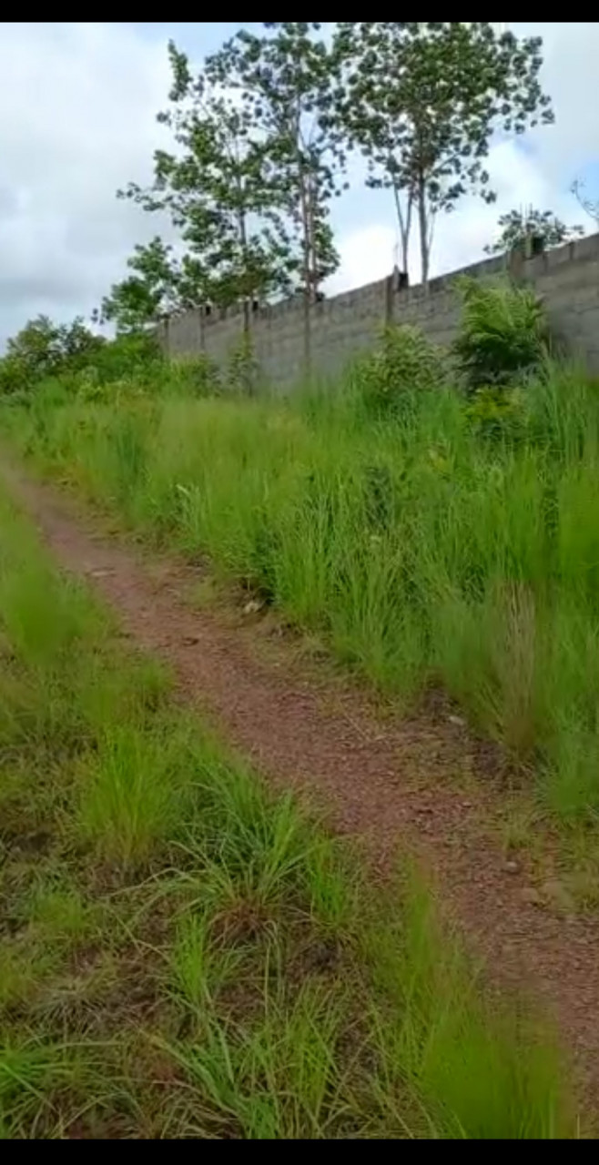 DJOUMAYA DUBREKA, Terrains, Conakry