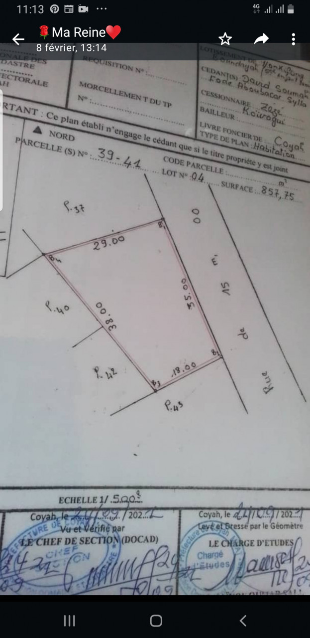 Vente de terrain, Terrains, Conakry