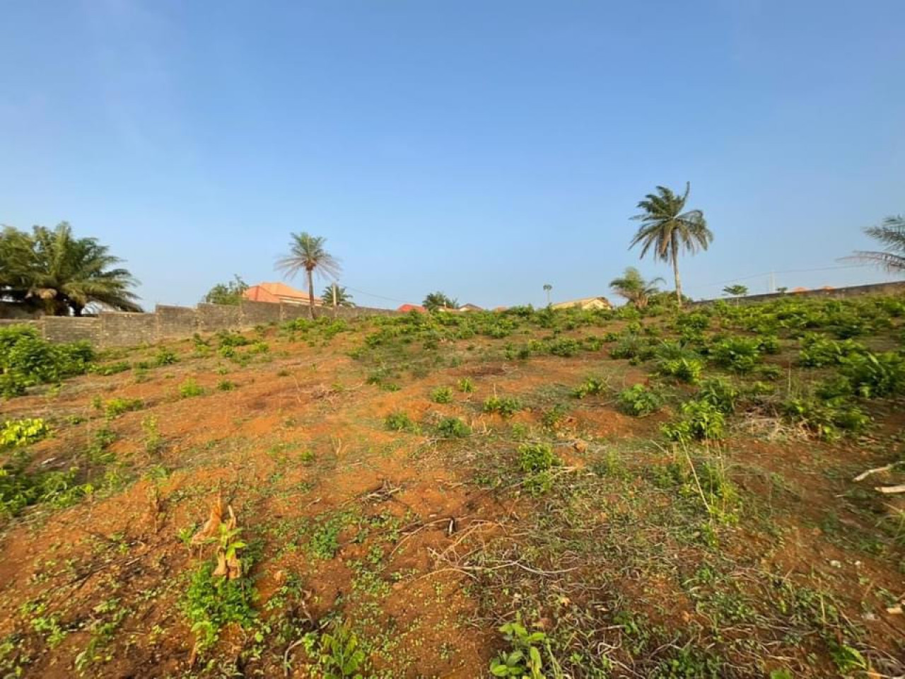 13parcelles collées A vendre àTOBOLON avec titre foncie, Terrains, Conakry