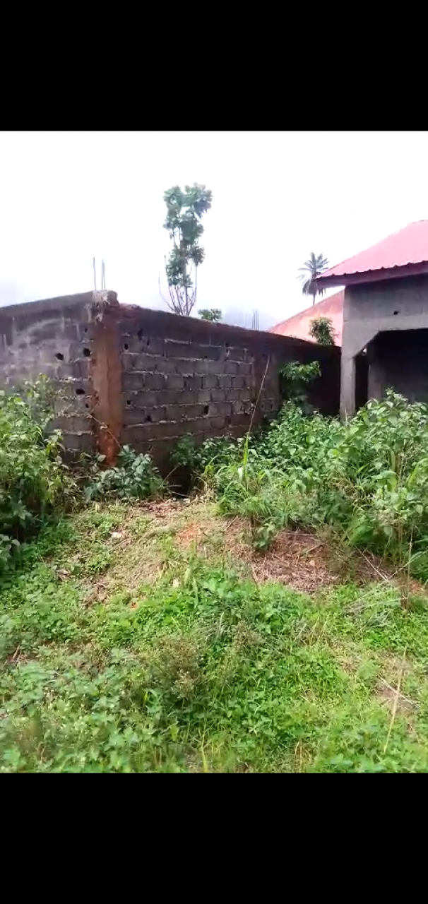 Une villa+la fondation pour 3 trois dalles (étages ), Maisons, Conakry