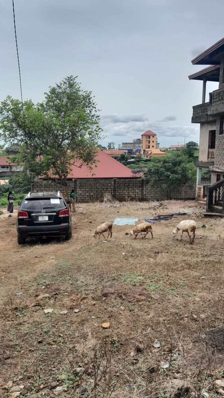 Terrain, Maisons, Conakry