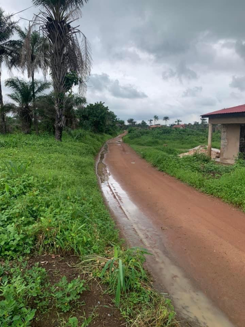 Domaine de 03 hectares à vendre à Mafereyah, Terrains, Conakry